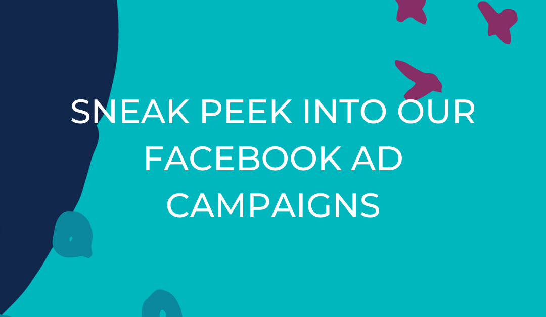 A sneak peek into our facebook ad campaigns