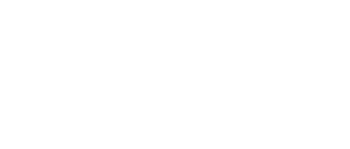 Business Chicks guest expert